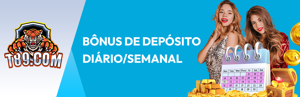 como faço pra ver minhas apostas na loteria online